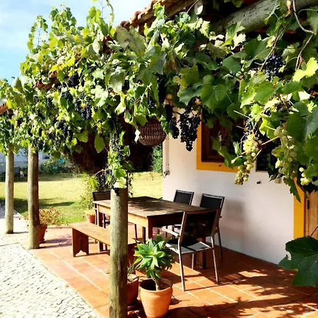 Luxury In A Gorgeous Former Winery On The Costa De Prata In Portugal *