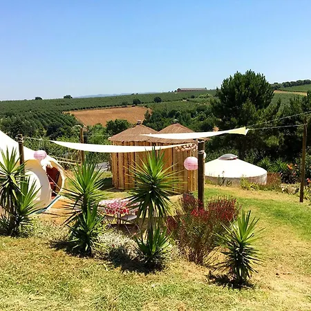 Luxury In A Gorgeous Former Winery On The Costa De Prata In Portugal